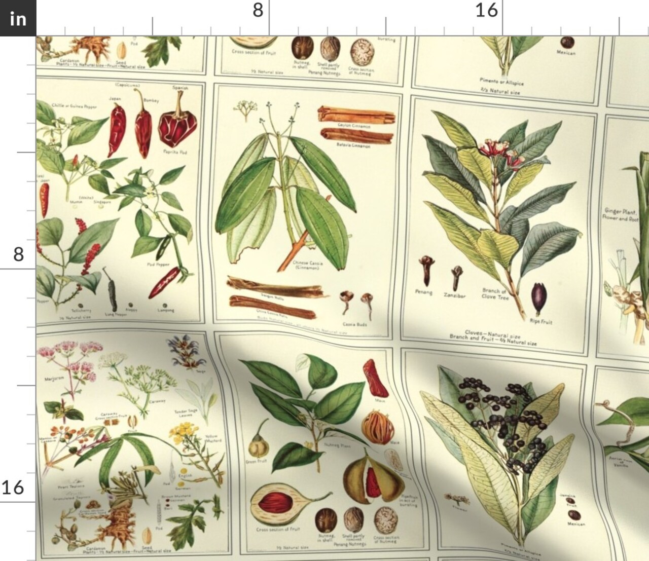 Herb, Botanical, Spices, Green, Brown, Ecru, Food, Illustration, Custom Printed Fabric by Spoonflower Various Fabrics by the Yard or Fat Quarter